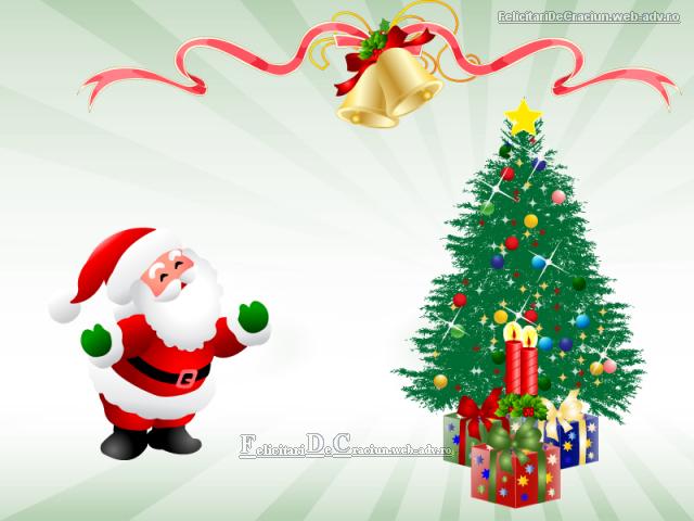 Mosului ai place bradul