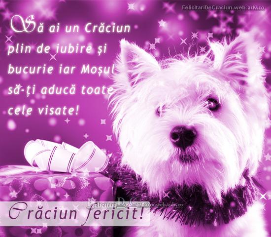  Craciun de vis